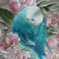 b-9.jpg