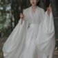 Jin dynasty white Wei Jinfeng wide-sleeved Liuxian dress