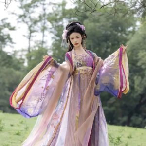 Xue Qingyou - Song Dynasty embroidery double large-sleeved pleated skirt
